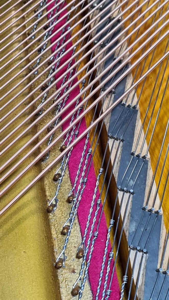 cordes-basses-en-cours-de-montage