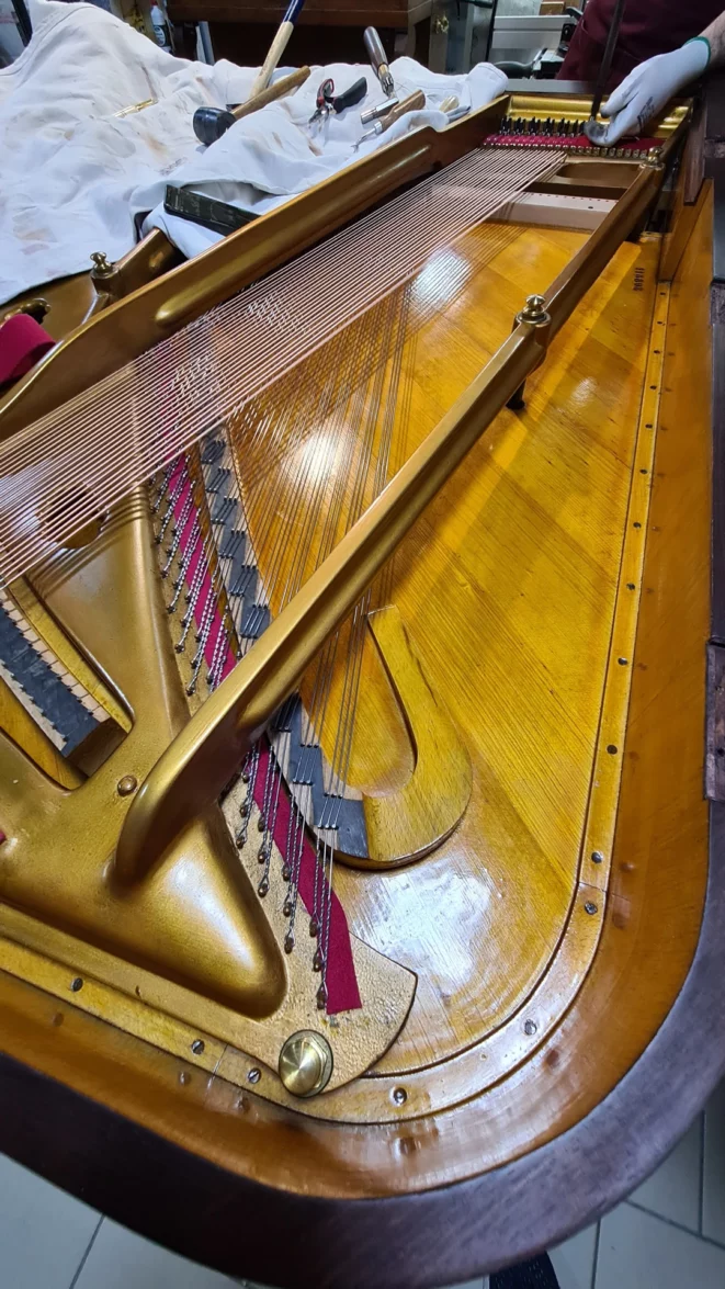 tension-des-cordes-basses-fillees