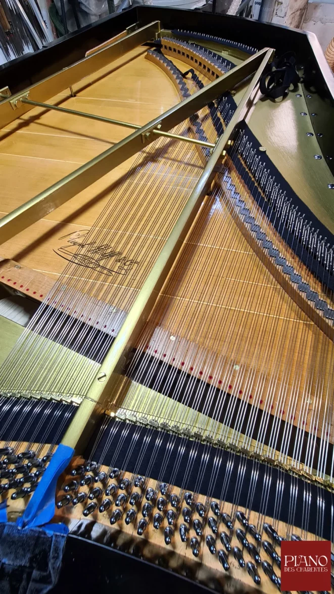Recordage cordes Paulello piano ancien PLEYEL