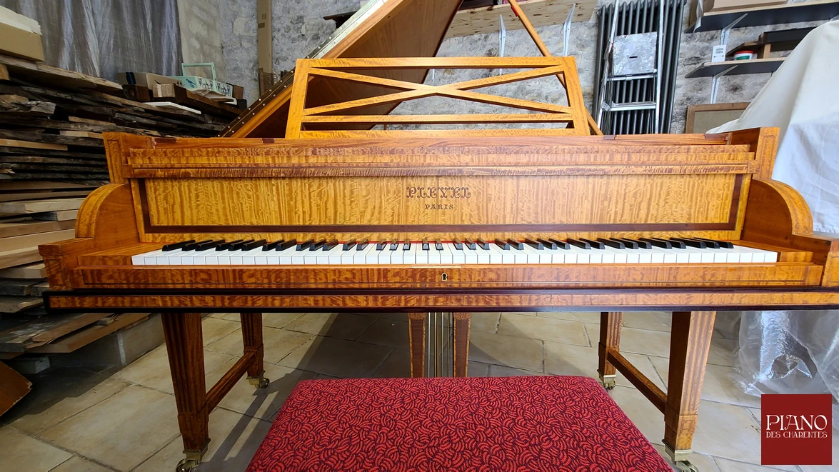 PLEYEL Adam Style citronnier de Ceylan 1912