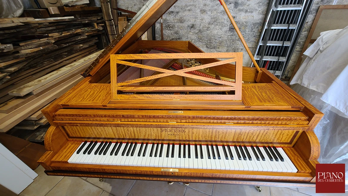 PLEYEL Adam Style citronnier de Ceylan 1912