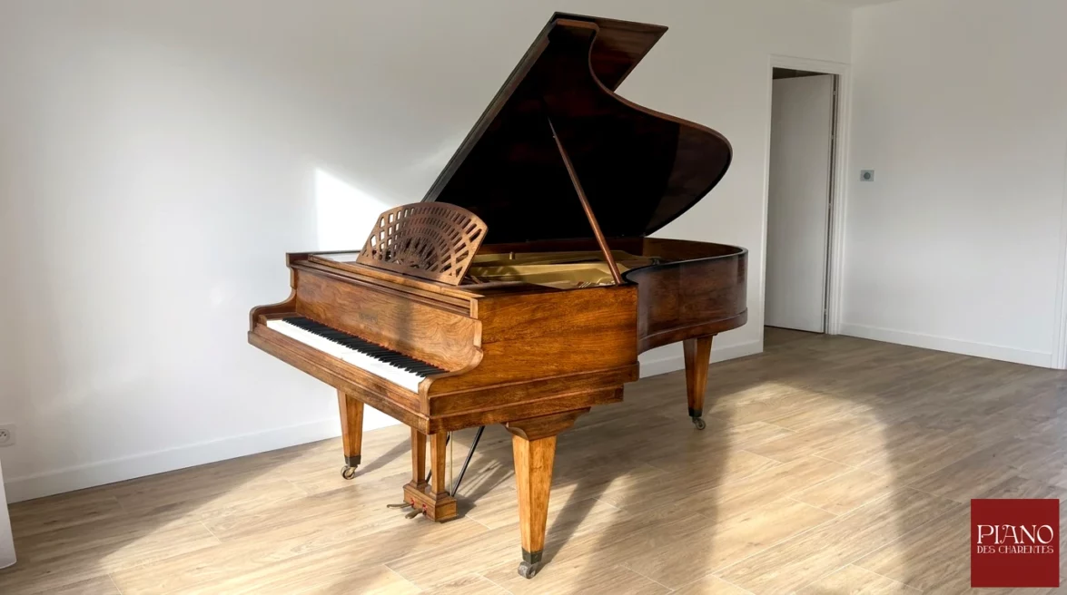 Pleyel demi-queue N°3 palissandre de RIO 1924