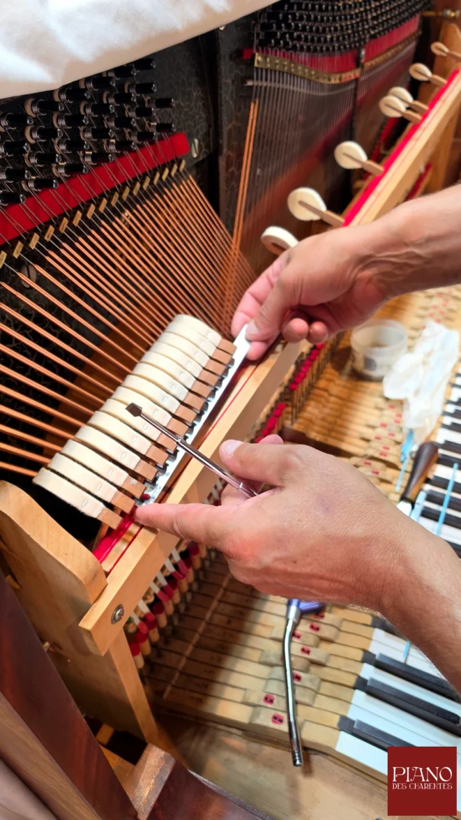 pleyel 1947 defauchage des marteaux